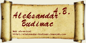 Aleksandar Budimac vizit kartica